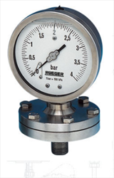 Đồng hồ đo áp suất PMX100 Rueger