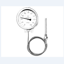 Đồng hồ đo nhiệt độ SS6 Hyoda