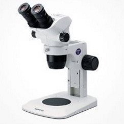 Kính hiển vi Stereo Microscopes SZ61-SZ51 - Olympus