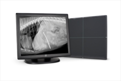 Diagnostic Imaging and Telemedicine Consultants Diagnostic Imaging Idexx