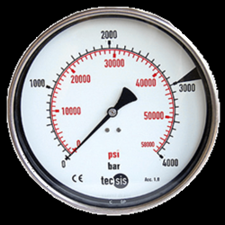 Đồng hồ đo áp suất Tecsis - P1716/P1717