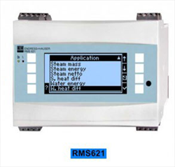 Đồng hồ đo lưu lượng RMS621
