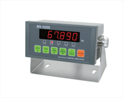 Digital Indicator BS-5205 Series Bongshin