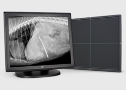 Diagnostic Imaging and Telemedicine Consultants ImageVue DR50 Digital Idexx