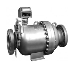 BiRotor Mechanical Positive Displacement Flow Meters B10X & B20X Brodie